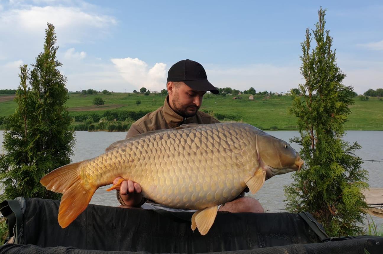 Păușești - img-20190526-wa0012.jpg